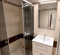 Bathroom in a studio apartment with a glass-enclosed shower, sink, and mirror.