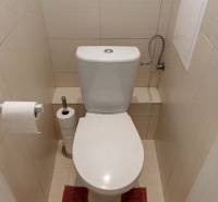 Bathroom in a 2-room apartment with a toilet, red mat, and tiles.