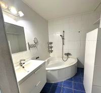 A bathroom with a shower, bathtub, and blue tiles in a 4-room apartment.