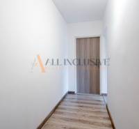 A hallway with light walls and a wooden decor floor in a studio apartment.