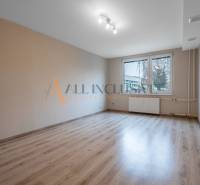 A bright room with wood-patterned flooring and a large window in a studio apartment.