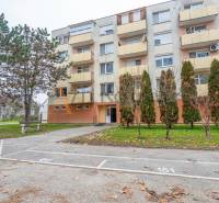 Apartment building on Školská Street in Kolárovo, parking spaces and trees in the vicinity.