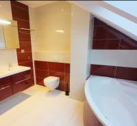 Bathroom in a family house with a bathtub, double sink, and skylight.