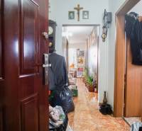 Entrance hall in a 2-room apartment with flowers and wall decorations.