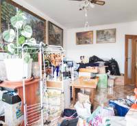 Overcrowded room in a 2-room apartment with decorations, plants, and paintings on the walls.