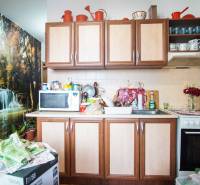 A kitchen in a 2-room apartment with a waterfall wall decoration, cabinets, and appliances.