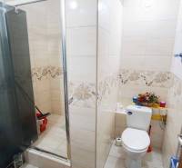A bathroom with a shower and colorful tiles in a 2-room apartment.
