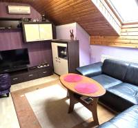 Living room in the attic with a sofa, a birdcage, and a television.