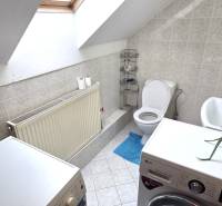 A bathroom in a family house with a skylight, a washing machine, and a plant.