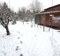 A snowy garden with fruit trees near a family house in Trnava.