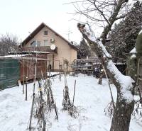A family house in a snowy garden in Trnava, trees and vines.