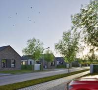 WhatsApp Image 2025-05-07 at 12.06.01 (1).jpeg