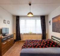 Bedroom with a bed, dresser, and television, wooden decor flooring in a 2-room apartment.