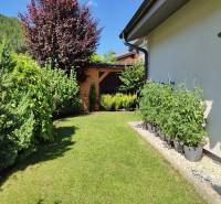 A garden at a family house in Kotrčiná Lúčka with cultivated plants and trees.