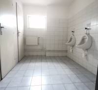 Prenájom - sklad - kancelária - Trnavská cesta - Ružinov - MIRABELL (13).jpg