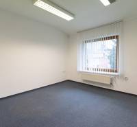 Empty room in a 4-room apartment with carpet and a large window.