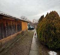 A path between a wooden structure and bushes in Ludanice, a chicken walks along the path.