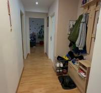 A hallway with a wooden decor floor and a wardrobe in a 3-room apartment.