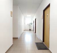 A corridor with tiled floors in offices, white walls, a plant, and a bright window at the end.