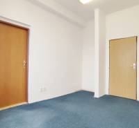 Offices with white walls and blue carpet, simple interior with two wooden doors.