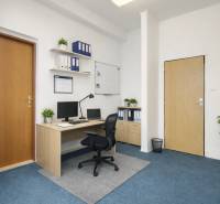 Offices with blue carpet and wooden furniture, meeting room, shelves with documents, plants.