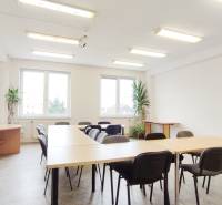 Offices with a conference table, chairs, and plants, floor with wooden decor.