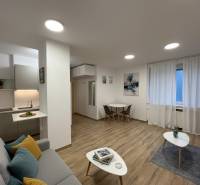 Studio apartment with a seating area, kitchenette, and wood-patterned flooring.