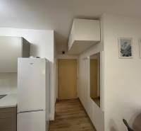 Studio apartment with a kitchenette, white refrigerator, wood-patterned floor, and a mirror on the wall.
