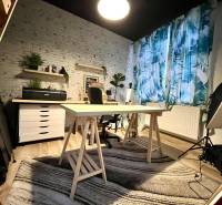 A study in a family house with a large table, plants, and a patterned curtain.