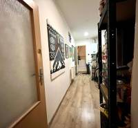 A hallway in a family house with a wood-patterned floor and wall decoration.
