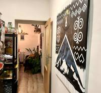 Family house with a hallway, a picture of a bear, and a storage space with various decorations.