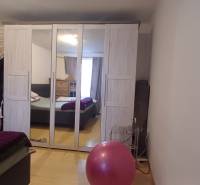 A mirrored wardrobe in a 2-room apartment with a wood-patterned floor.