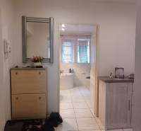 Interior of a 2-room apartment with a mirror, shoe cabinet, and view of the bathroom.
