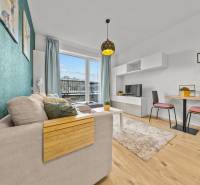 A bright living room with a sofa, dining table, and wood-patterned flooring in a studio apartment.