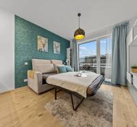 A studio apartment with a sofa bed, a balcony, a green wall, and a floor with a wooden decor.