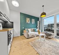 Kitchen and living room with wood-patterned flooring in a studio apartment.