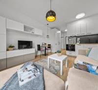 1-room apartment with light furniture, wood-decor flooring, and a living room wall unit.