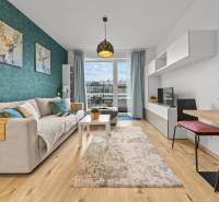 Living room in a one-bedroom apartment with a sofa, TV, carpet, and wood-patterned flooring.