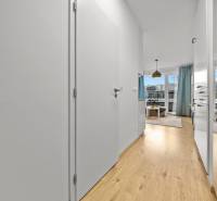 Interior of a 1-room apartment with a wooden decor floor and light furnishings.