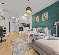 Living room with wood-patterned flooring, sofa, kitchen, and dining area in a studio apartment.