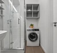 Bathroom with a washing machine, shower cabin, and white walls in a studio apartment.