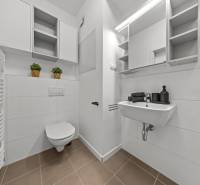 Bathroom with shower, mirror, sink, and storage space in a studio apartment.