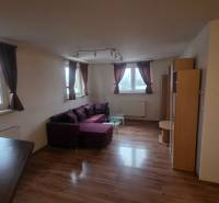 Living room with a purple sofa, wood-patterned floor, 3-room apartment.