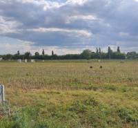 Construction of houses on Krížna Street in Palárikovo, a green field with the installation of an electrical distributor.