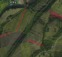 Sale Agrarian and forest land, Agrarian and forest land, Michalovce, S