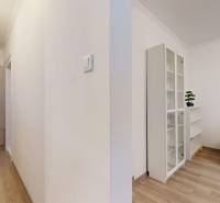 Hallway and living room in a 2-room apartment with a wood-patterned floor and a wardrobe.