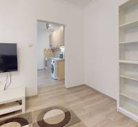 Living room with a TV, wardrobe, and a view into the kitchen in a 2-room apartment.