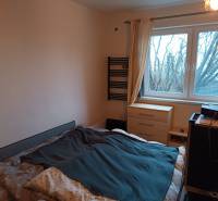 A bedroom in a family house with a bed, a dresser, and trees visible from the window.