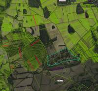 Sale Agrarian and forest land, Agrarian and forest land, Michalovce, S