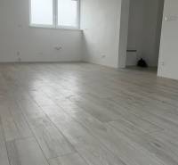 A bright room in a 2-room apartment with a wood-patterned floor and a large window.